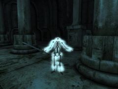 Frost Skeleton