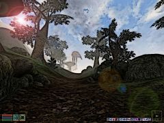 Morrowind - A long road ahead
