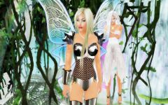 The Fairy Warrior