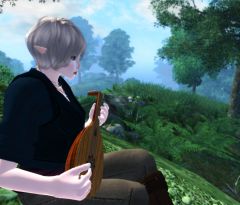 The Elven Bard
