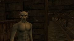 Morrowind 2010-12-25 20-47-46-04.jpg