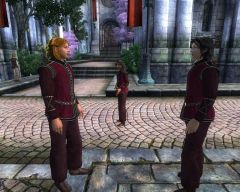 Regulation Burgundy: The Official Uniform of Elven Garden Men