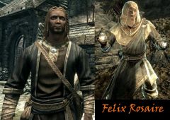 Another Skyrim Character