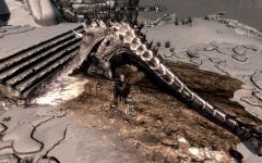 Killed Dragon carrying a cow