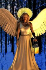Our Angel of the Lamp 2011