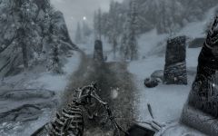 Almost Run Over by a Dragon
