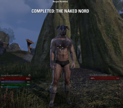 Naked Nord