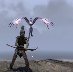 My Scorcer Character with her Winged Twilight Familiar