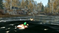 Ducks for Skyrim