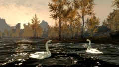Swans for Skyrim