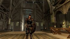 Better front shot Of armor In game