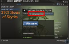 3102 Hours of Skyrim