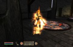Frostcrag My New Flame
