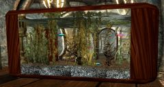 The Aquarium Experiment: Decorations