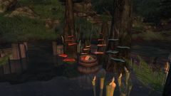 Lesson 4 Water Garden: Mushroom Culture