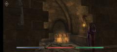 TES Blades - Day One - 5 - Quest - Rescuing the townfolk - Secret room.jpg